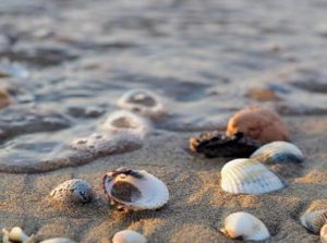 Health Benefits of the Sea | Atlantic Vacation Homes | Cape Ann MA
