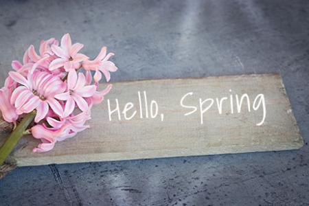 Spring Activities and Events on Cape Ann