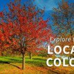 A Fall Getaway to Explore Cape Ann's Local Colors