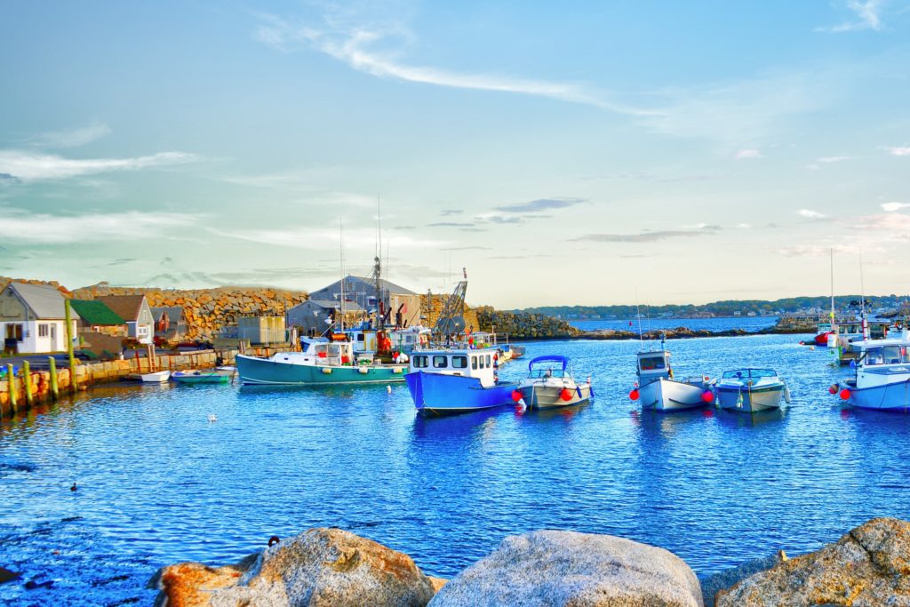 Cape Ann Whale Watching - Gloucester, MA