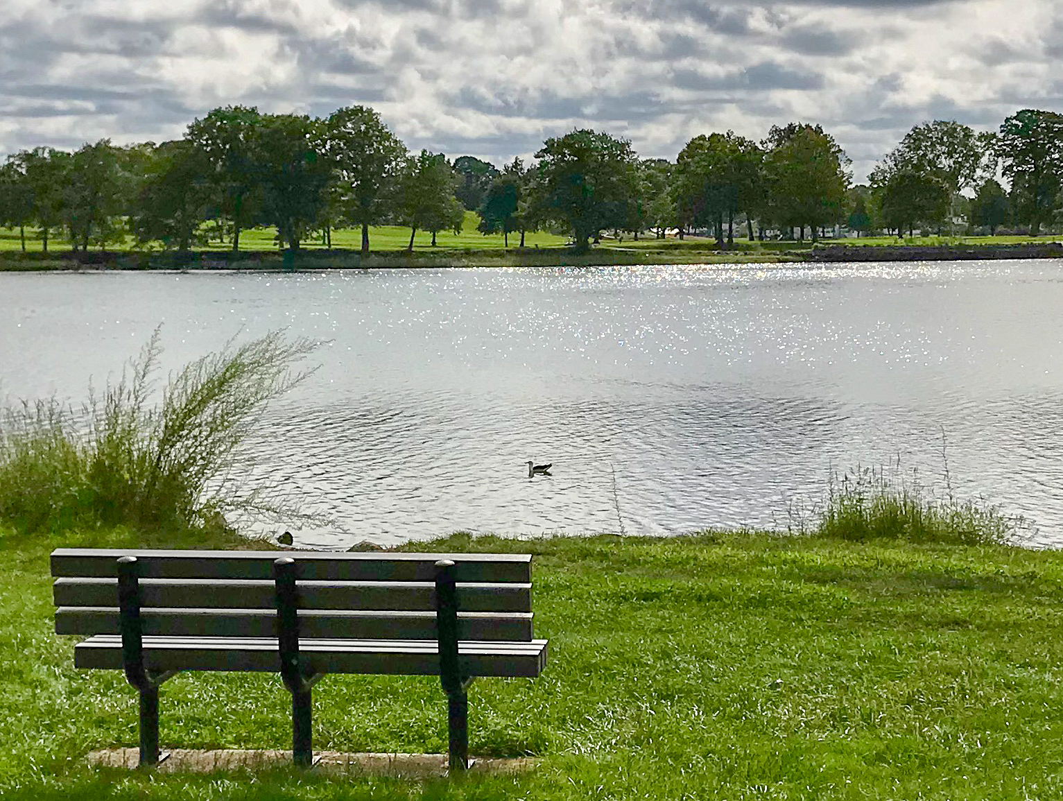 Obear Park | Photo by Ann Langenfeld