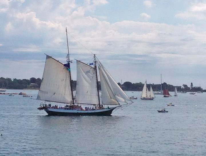 Watch the Schooners - Free things to do in Gloucester MA